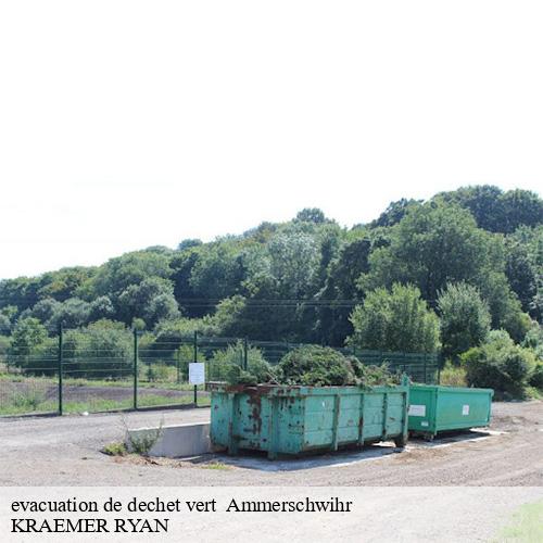 evacuation de dechet vert -10