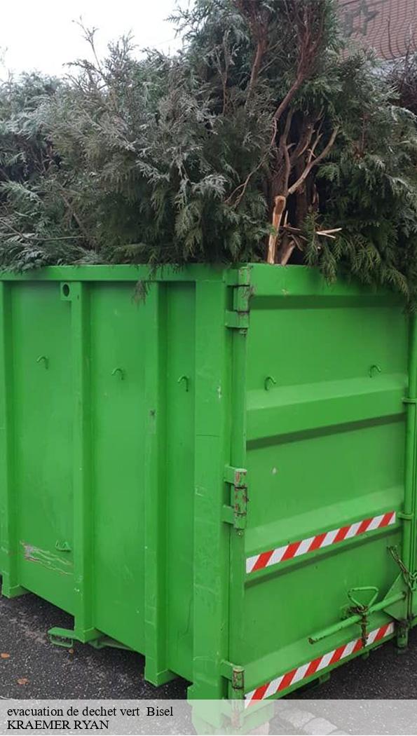 evacuation-de-dechet-vert-1