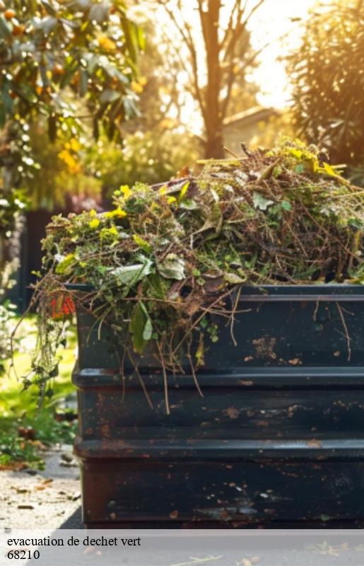 evacuation de dechet vert -8