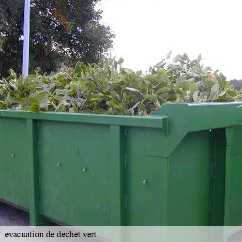 evacuation de dechet vert -9