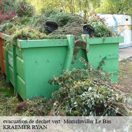 evacuation de dechet vert -4