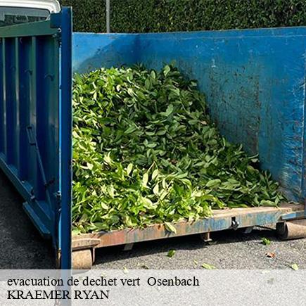 evacuation de dechet vert -7