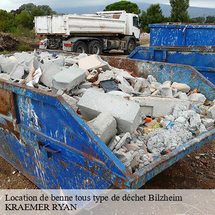 Location de benne tous type de déchet-4