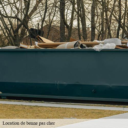 Location de benne pas cher-9